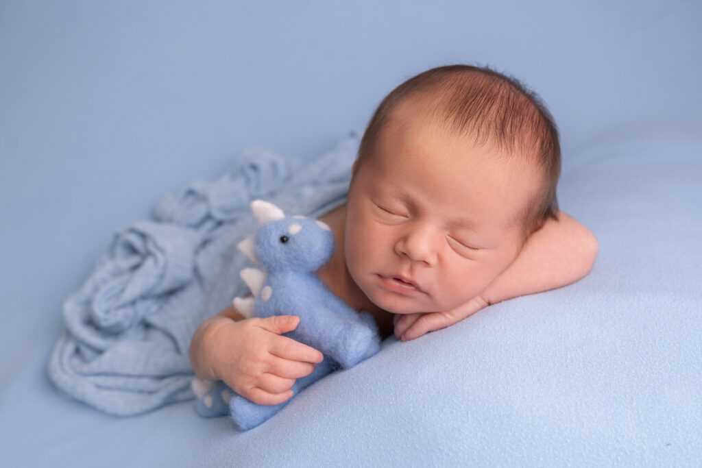 Newborn Photography 6 Baby Boy on blue with his little dinosaur in the studio