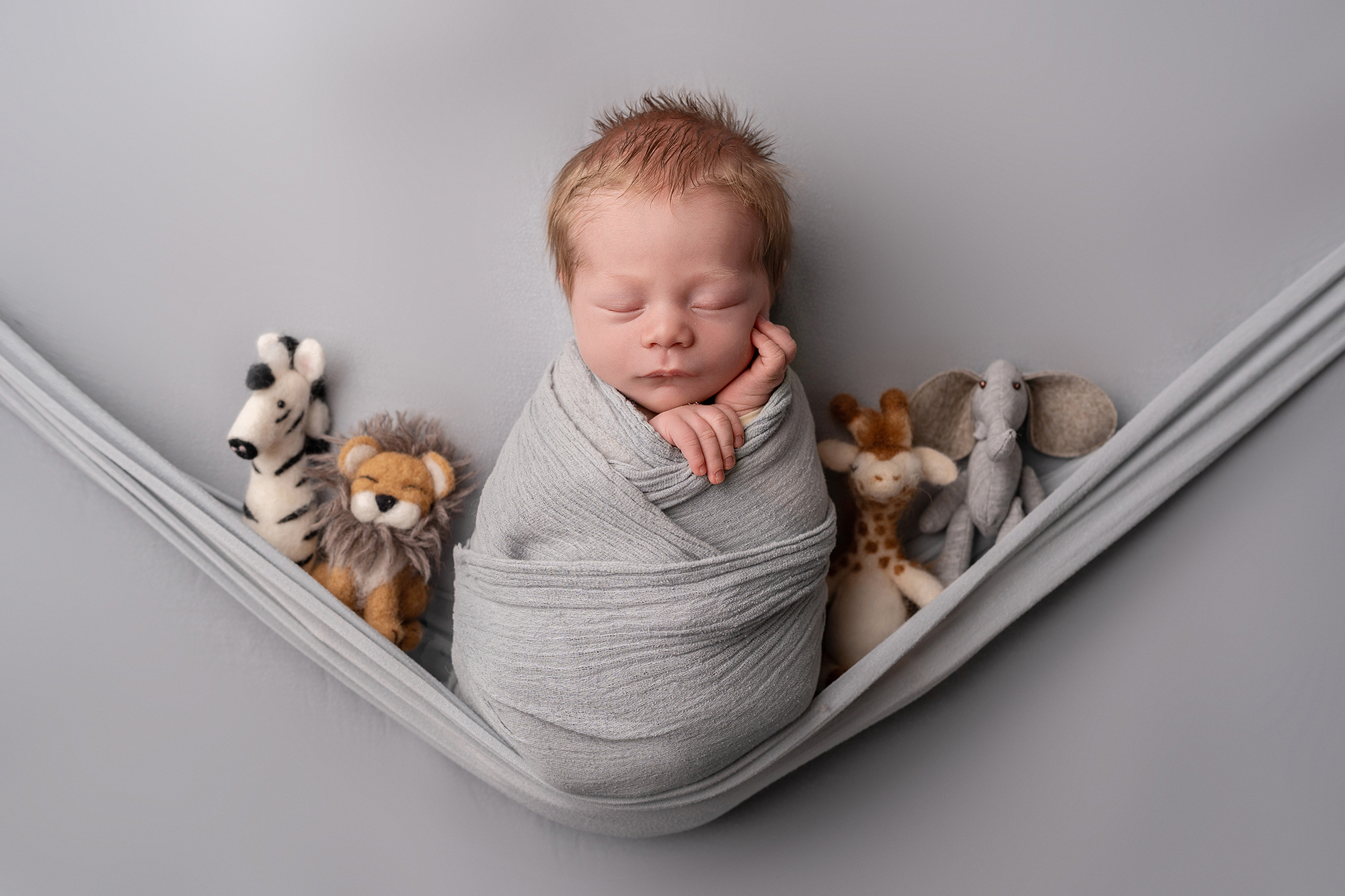 Rochester newborn photographer